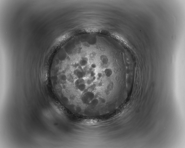 X0000085760687200703161118