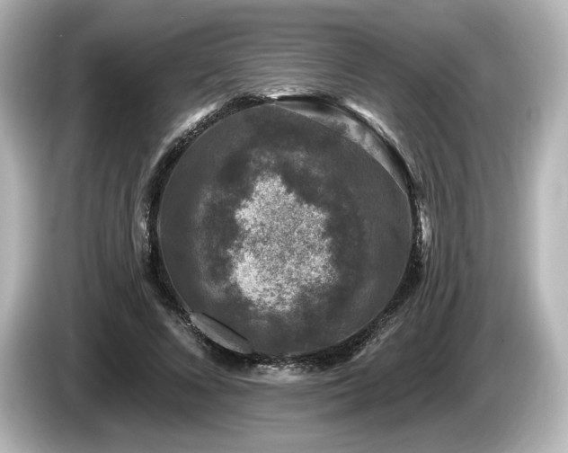 X0000085760688200703161118
