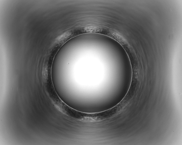 X0000085760690200703161118