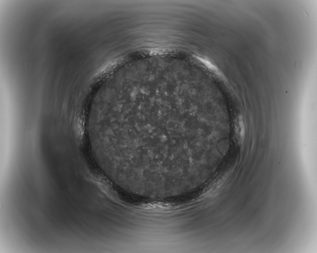 X0000085760691200703161118