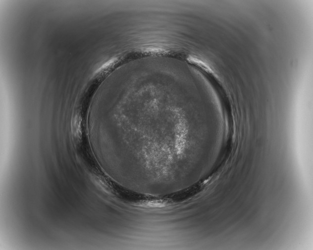 X0000085760692200703161118