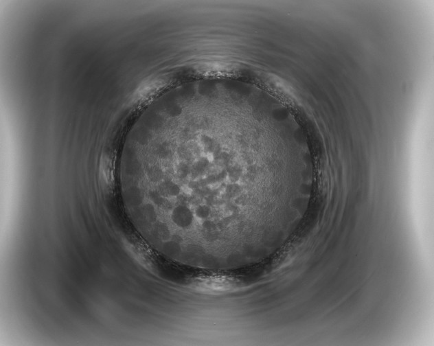X0000085760695200703161118