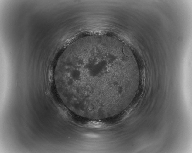 X0000085760699200703161118