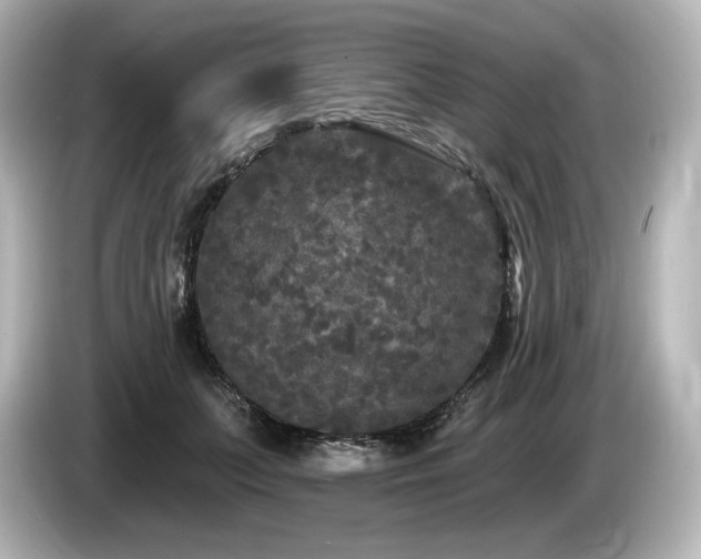 X0000085760703200703161118