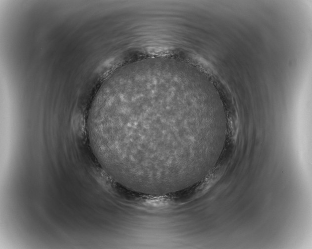 X0000085760705200703161118