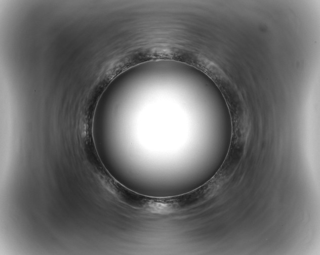 X0000085760706200703161118