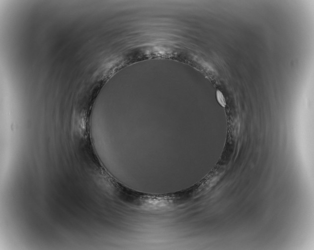 X0000085760709200703161118