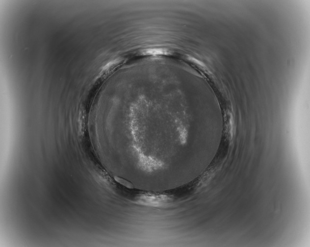 X0000085760712200703161118