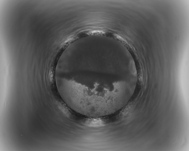X0000085760715200703161118