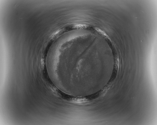 X0000085760716200703161118