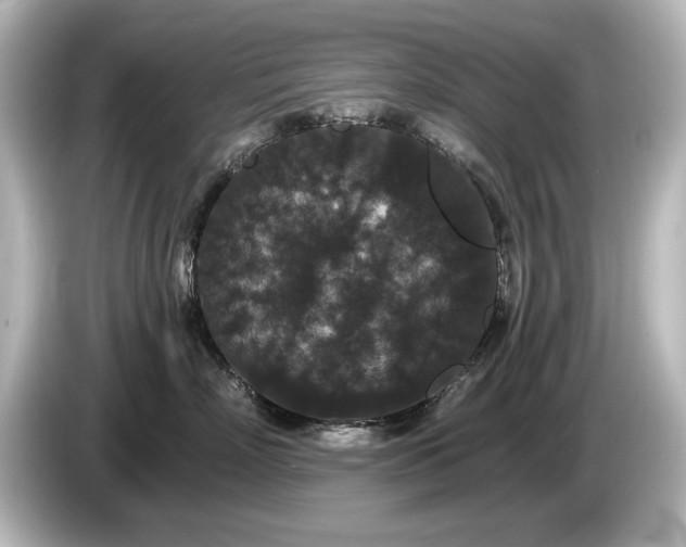 X0000085760718200703161118