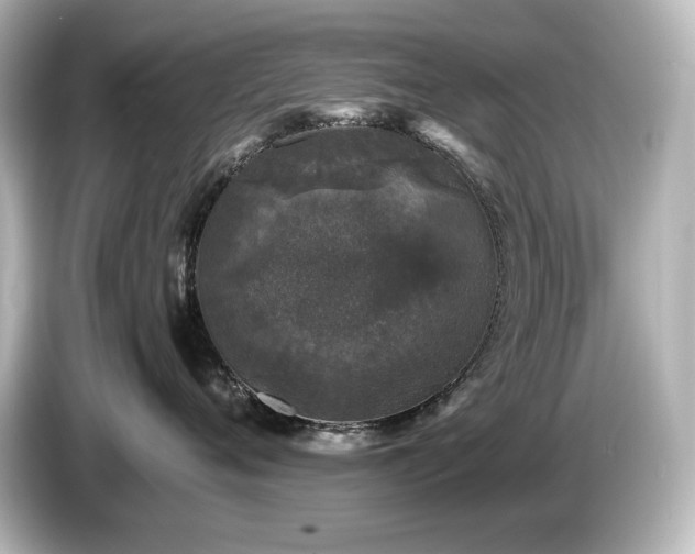 X0000085760720200703161118