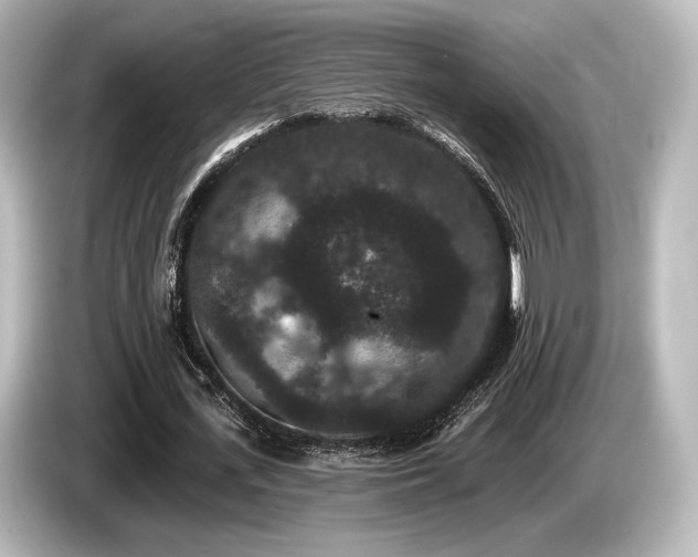 X0000085760723200703161117