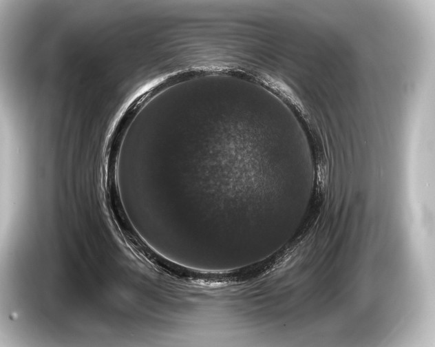 X0000085760724200703161117
