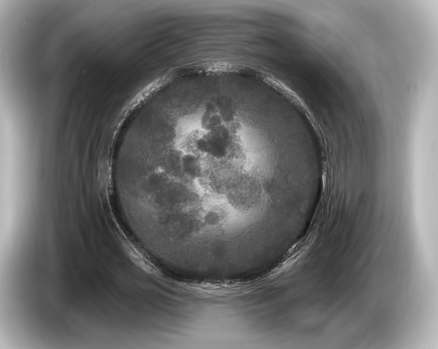 X0000085760725200703161117