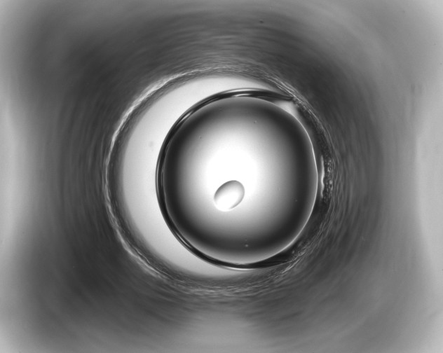 X0000085760726200703161117
