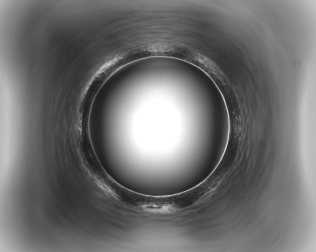 X0000085760727200703161117