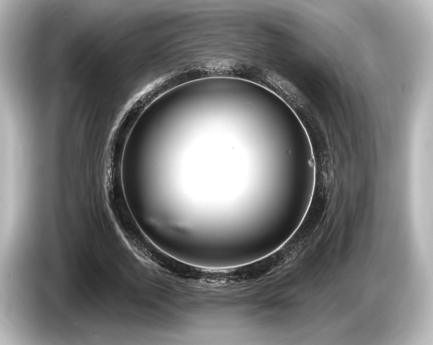 X0000085760728200703161117