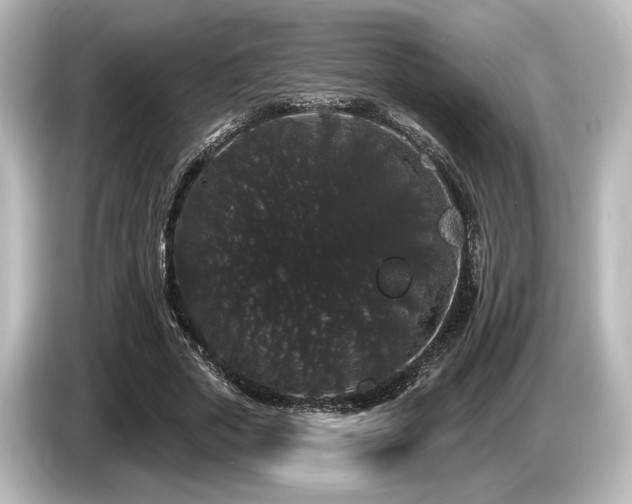 X0000085760729200703161117
