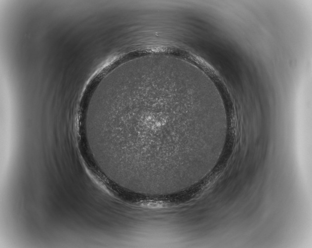X0000085760730200703161117