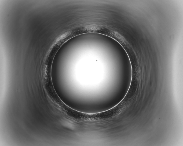 X0000085760731200703161117