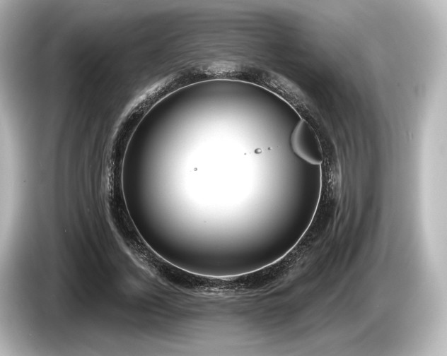 X0000085760732200703161117