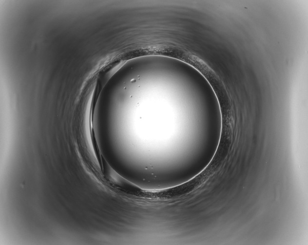 X0000085760734200703161117
