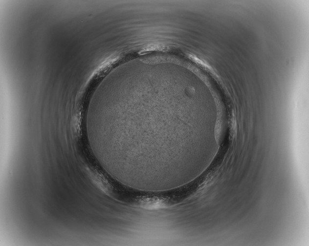 X0000085760735200703161117