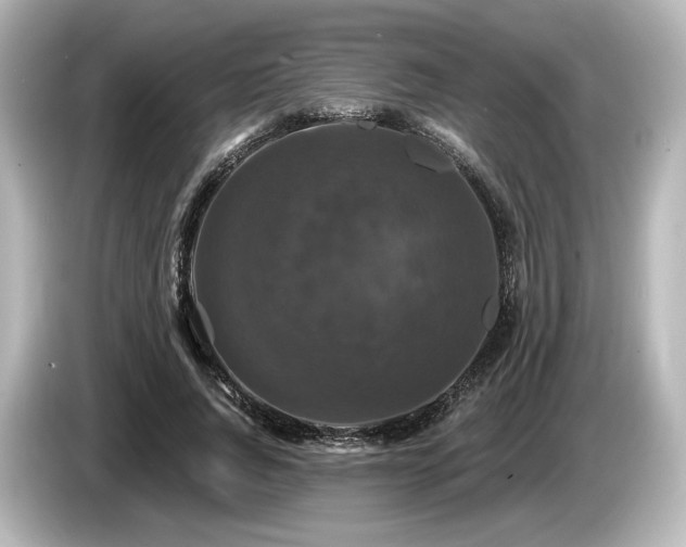 X0000085760736200703161117