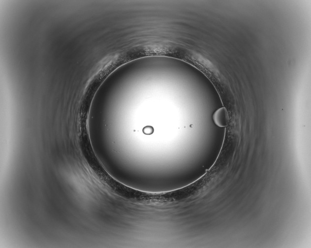X0000085760738200703161117