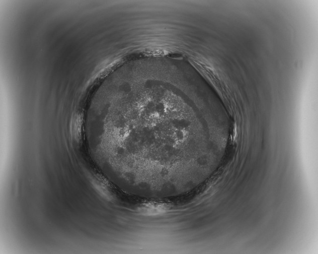 X0000085760742200703161117