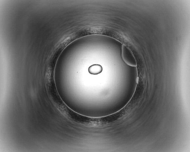 X0000085760744200703161117