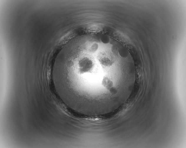 X0000085760745200703161117