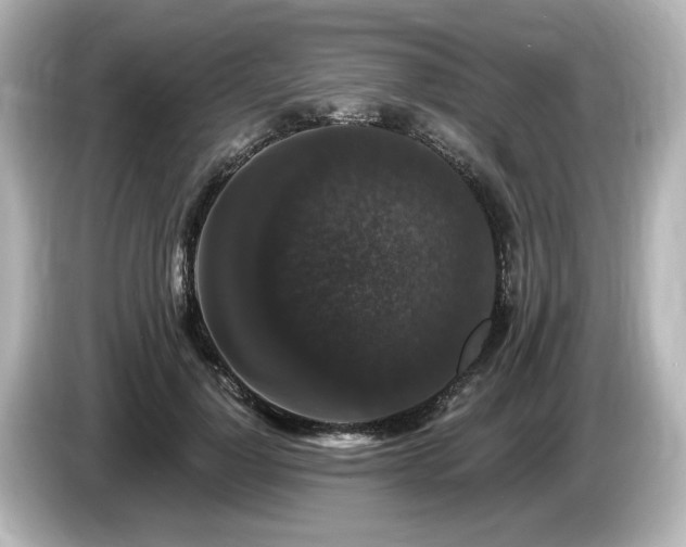 X0000085760748200703161117