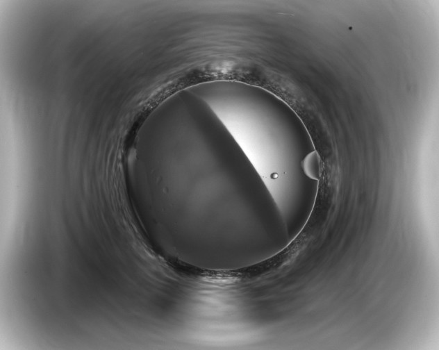 X0000085760754200703161117