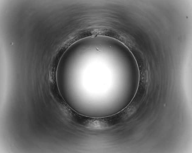X0000085760755200703161117