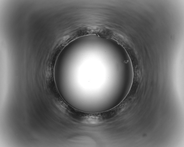X0000085760756200703161117