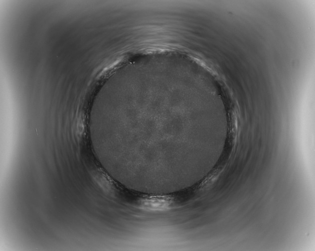 X0000085760758200703161118