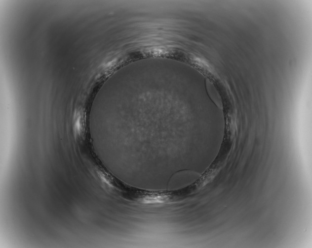 X0000085760760200703161118