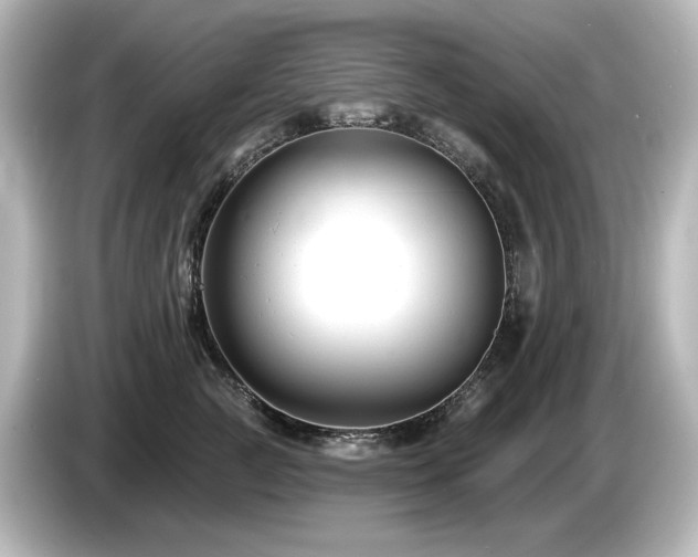 X0000085760761200703161118