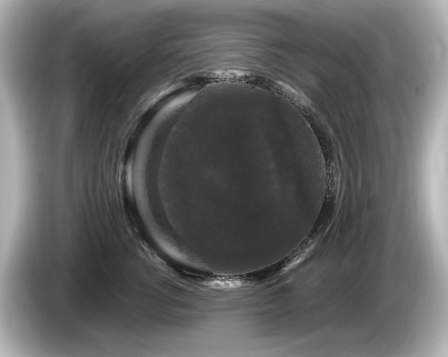 X0000085760762200703161118