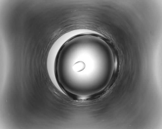 X0000085760766200703161118