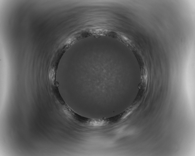 X0000085760767200703161118