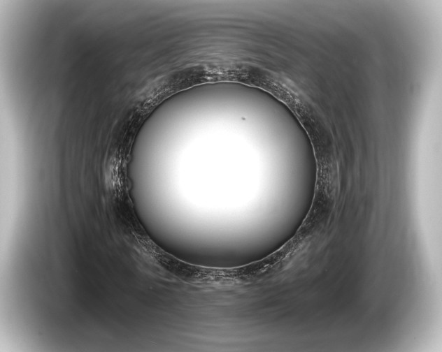 X0000085760770200703161117
