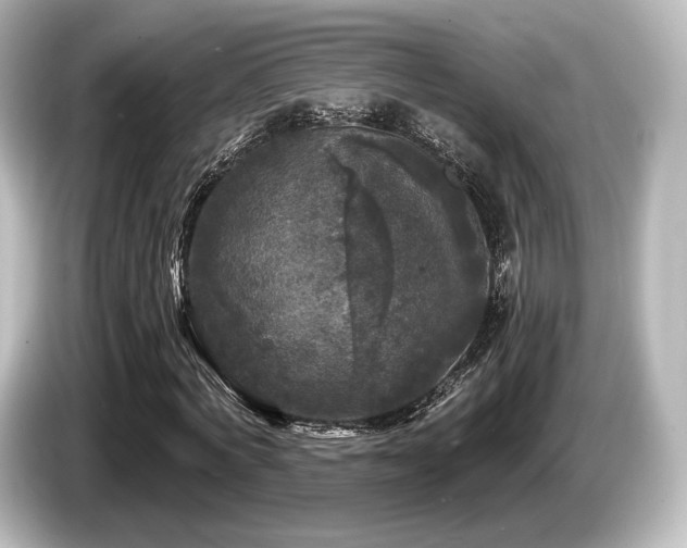 X0000085760772200703161117