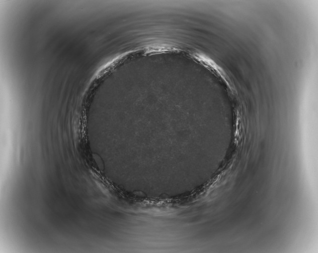 X0000085760775200703161117