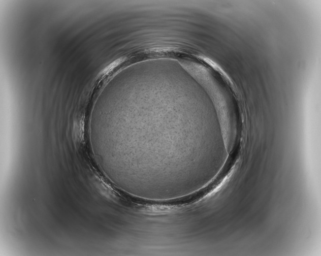 X0000085760777200703161117