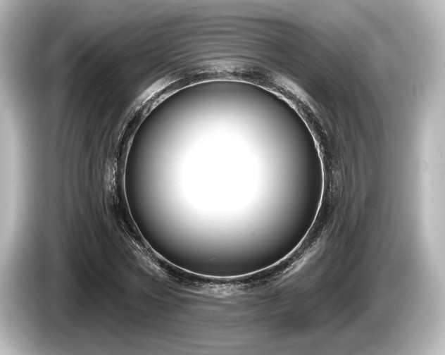 X0000085760778200703161117