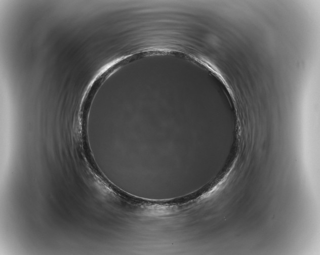 X0000085760779200703161117