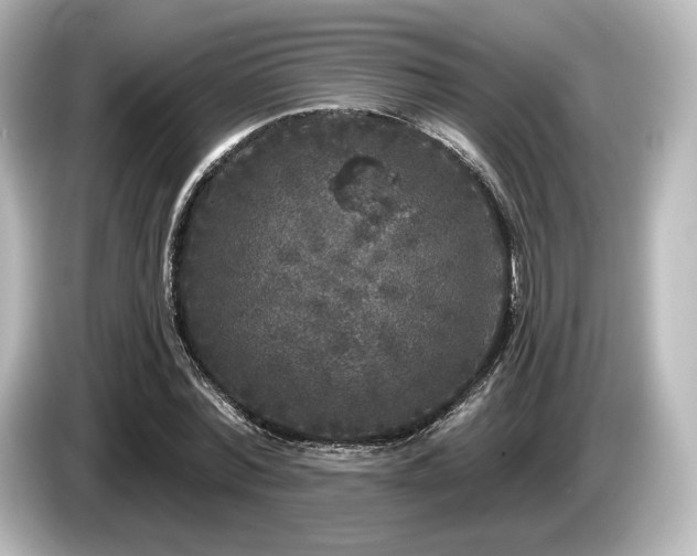 X0000085760780200703161117